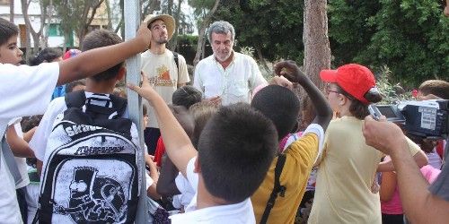 Escolares de los colegios Capellanía, Benito Méndez y Titerroy catalogan al único pino canario de Arrecife