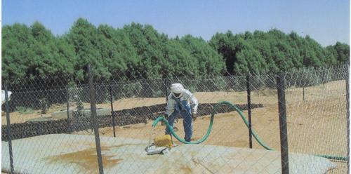 Canarias colabora con Mauritania en la recuperación de terrenos degradados