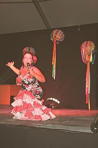 Los adultos cantaron en play back en las fiestas del Carmen de La Villa