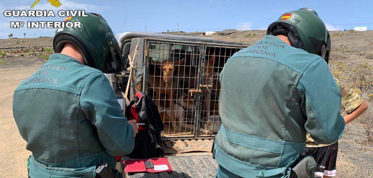 La Guardia Civil denuncia a 11 personas en una inspección de caza en Lanzarote 