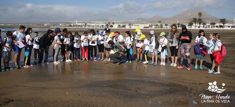 'Playa Honda, la Mar de Vida' acerca a 230 alumnos a la fauna y flora que convive en la costa