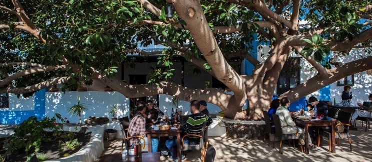 La bodega de Santiago se da un descanso hasta el 3 de diciembre