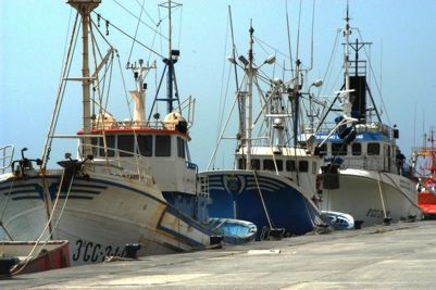 CC exigirá al Gobierno que respete el criterio de habitualidad de la flota pesquera canaria en aguas marroquíes en el próximo reparto de licencias