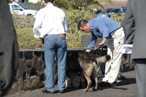 Hallan un libro del Corán en la visita de Los Reyes a Lanzarote