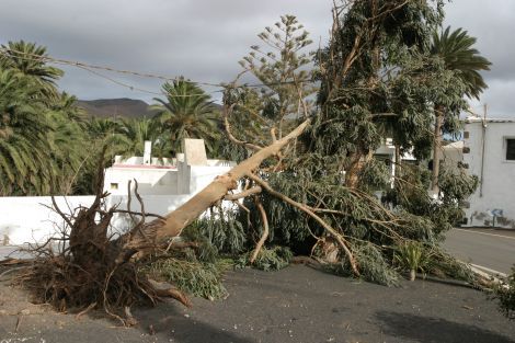 El Gobierno declara la alerta por fuertes vientos de hasta 100 kilómetros por hora