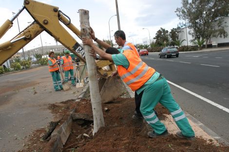 The Government declares alert in the Canary Islands due to heavy rains and snow