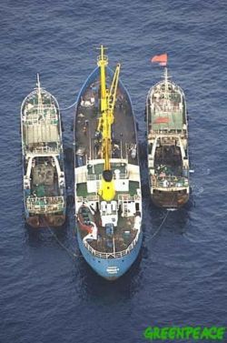 Greenpeace denuncia que un barco pesquero ilegal procedente de África se dirige al Puerto de Las Palmas