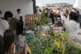 Gran éxito en la inauguración del Mercado Agrícola y Artesanal de Tinajo