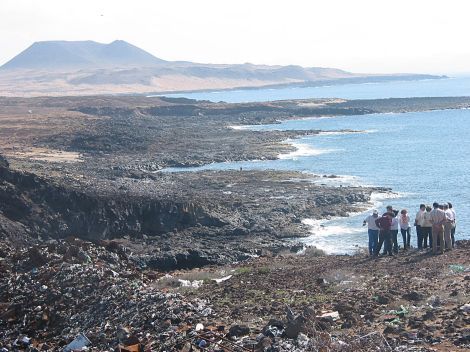 Localizada una foca que podría estar herida en La Graciosa