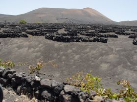 Tías approves the statutes that will govern the future Consortium for the defense and promotion of La Geria