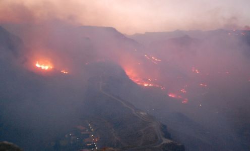 The Canary Islands Government confirms the control of the fire in Gran Canaria and trusts to control the one in Tenerife in a few hours