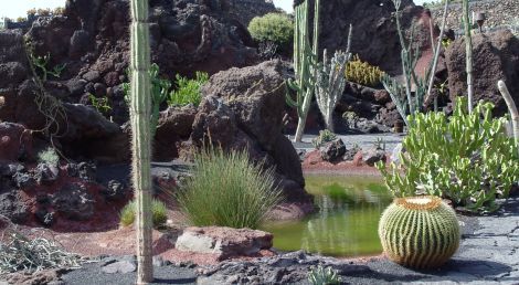Detenidas tres personas por robo con violencia en el Jardín de Cactus