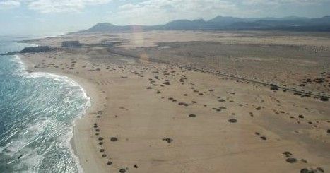 La Unesco declara Reserva de la Biosfera la isla de Fuerteventura