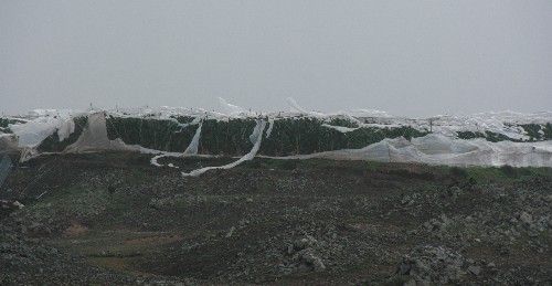 El viento destroza un invernadero de plataneras en Tinajo