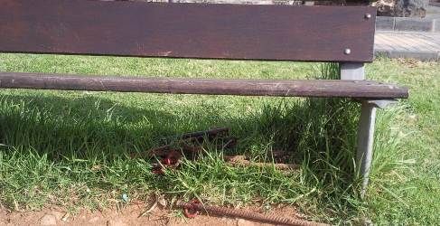 Denuncian la existencia de hierros peligrosos en el césped del Parque Temático