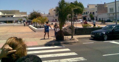 Una palmera tapa completamente un semáforo en Los Geranios