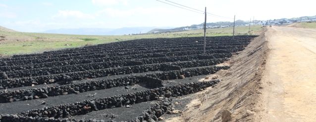 Fabián Martín visitará este viernes las obras de la carretera de Tinajo, un mes después de que el alcalde denunciase las deficiencias