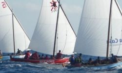 Se inicia la temporada de barquillos de vela latina
