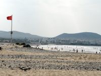 Teguise aumenta la vigilancia de perros en las playas ante el "elevado" número de quejas