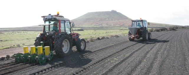 Canarias, región de la UE con el precio por hectárea cultivable más alto en 2021