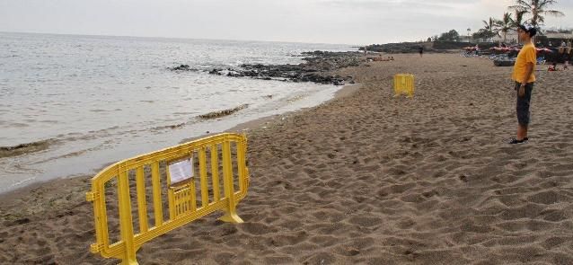 Sanidad prohíbe el baño en varias playas de la isla por la presencia de un alga que podría ser tóxica