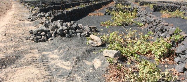 Un afectado por las obras de la carretera de Tinajo reclama al Cabildo que asuma la construcción de los muros que le han derruido