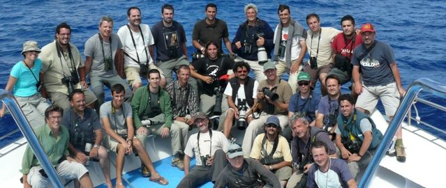 Lanzarote, punto de encuentro para el avistamiento de aves raras