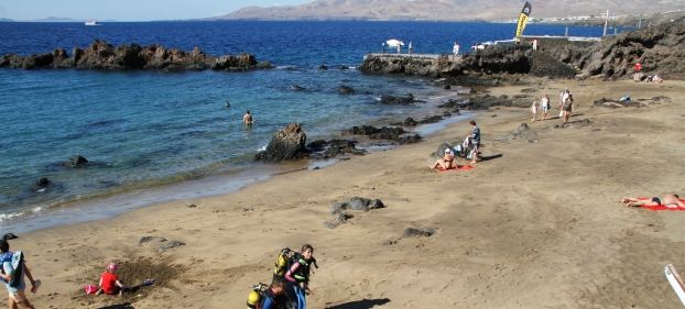 Tías permite de nuevo el baño en Playa Chica ante la desaparición del banco de medusas