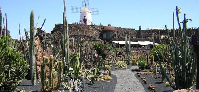 Jardín de Cactus