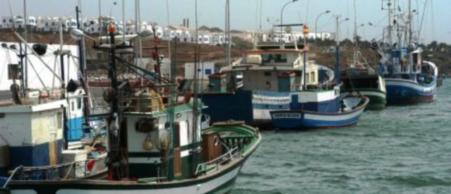 El Cabildo insta a los pescadores a devolver al mar los peces de gran tamaño para evitar intoxicaciones por ciguatera