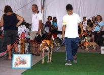 La protectora Sara recauda 1.130 euros en el primer encuentro de perros adoptados