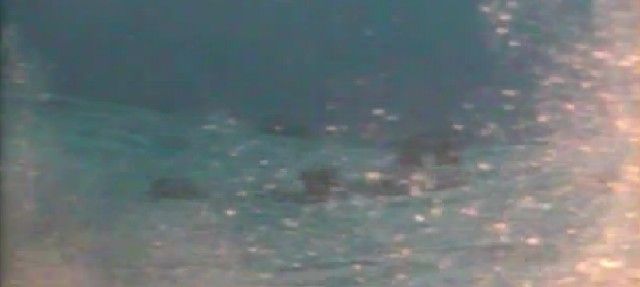 Nuevos vídeos muestran el volcán submarino de El Hierro y la emanación de gases en la zona