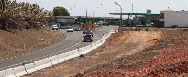 Aculanza denunciará en la Fiscalía de Medio Ambiente el estado de las palmeras de la Circunvalación de Arrecife