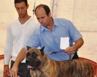 El Guanche se proclama campeón absoluto del primer concurso de presa canario celebrado en Masdache