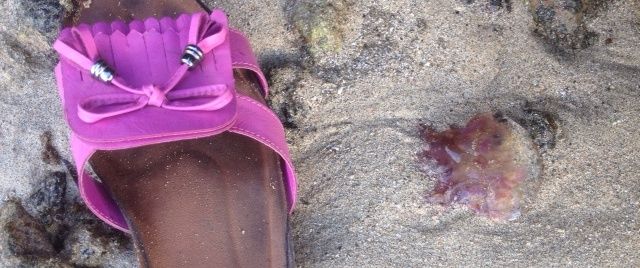 Una lectora alerta sobre la presencia de medusas, aunque los servicios de emergencia aseguran que la plaga ya abandonó Lanzarote