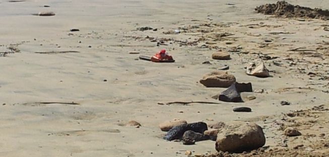 Las playas de Papagayo son una vergüenza ajena