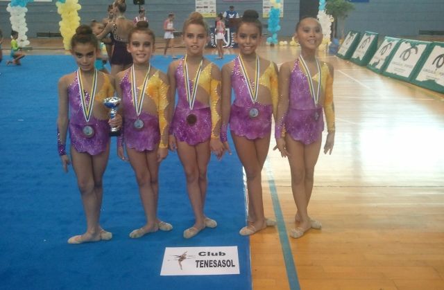 El club Tenesa Sol de gimnasia rítmica, clasificado para el Campeonato de España