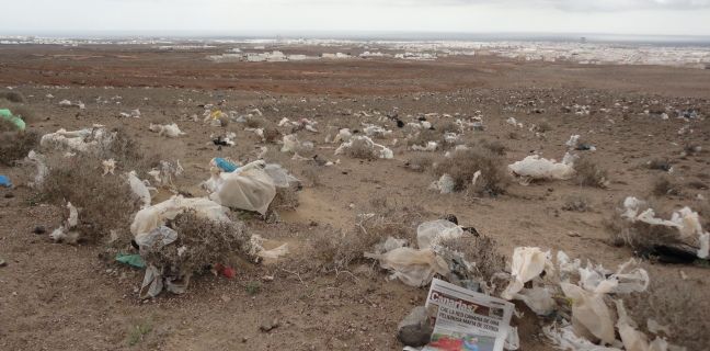 Un lector se pregunta cómo es posible que se vuelen las bolsas de Zonzamas si deberían entrar en la planta de reciclaje