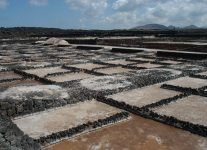 Las salinas tradicionales reivindican su papel en unas jornadas de trabajo en Lanzarote