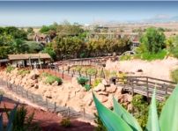 El Rancho Texas Lanzarote Park cumple 10 años: un lugar ideal para familias y eventos