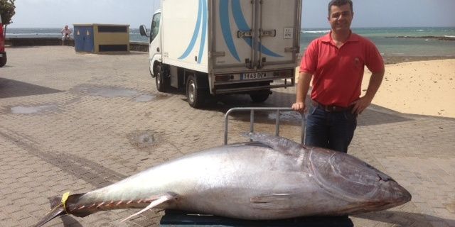 Dos pescadores de El Golfo capturan un atún rojo de 276 kilos