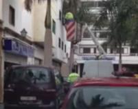Un lector critica la cola de vehículos que se formó en la calle Triana por los trabajos de retirada de hojas de palmeras