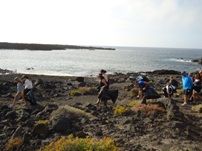 Cerca de 30 voluntarios limpiaron las playas de Las Malvas y La Madera en Tinajo