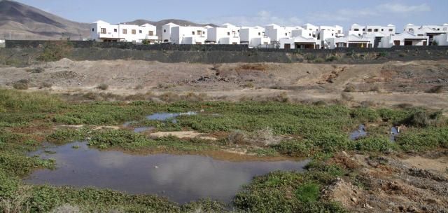 El Consejo Insular de Aguas anuncia el inicio de las obras en dos estaciones de bombeo de Playa Blanca, adjudicadas por 267.447 euros