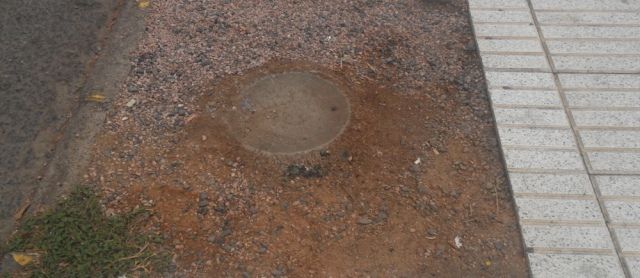 El Ayuntamiento de Arrecife empezó a cortar las palmeras en la Avenida Marítima "hace año y medio" y aún "no ha terminado el trabajo