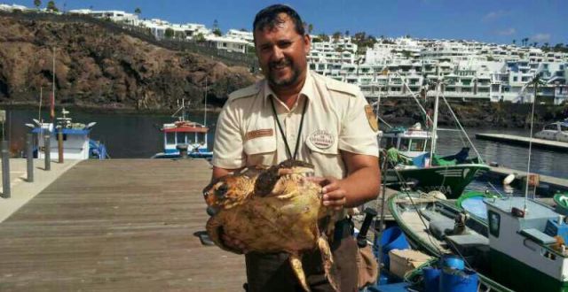 Rescatan a un tortuga herida en los pantalanes del Varadero