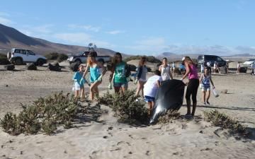Alumnos del IES Costa Teguise limpiaron la playa de Famara