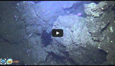 abortar imagen Preconcepción Primer vídeo del volcán submarino de El Hierro, dos años después de la  erupción