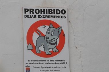 El PP pide al Ayuntamiento de Arrecife que acabe con el serio problema de los excrementos de perros en las calles
