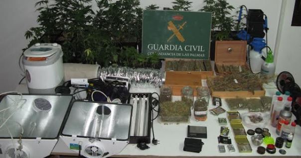 La Guardia Civil detiene a un hombre en Tías tras localizar 71 plantas de marihuana en su casa